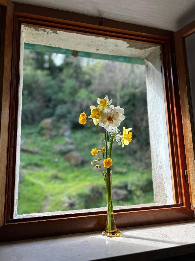 Apartmán Casina Orione Montecatini Val di Cecina Exteriér fotografie