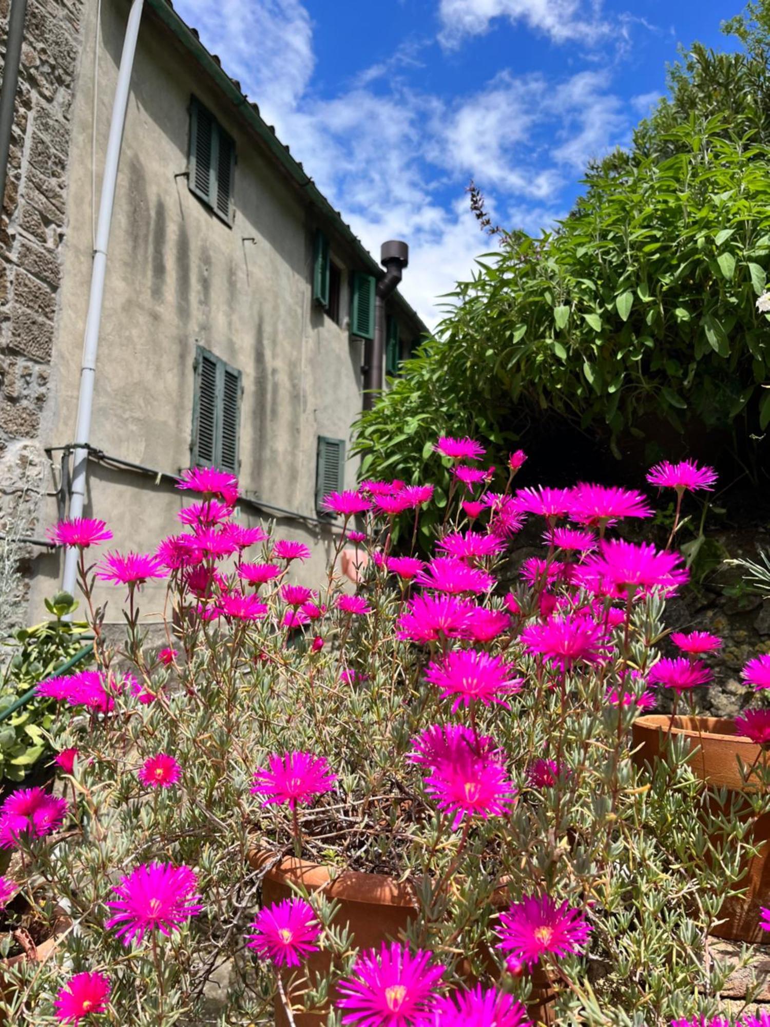 Apartmán Casina Orione Montecatini Val di Cecina Exteriér fotografie